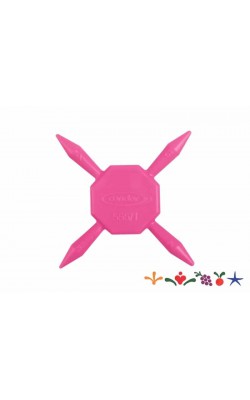 PINTA BOLINHA CONDOR